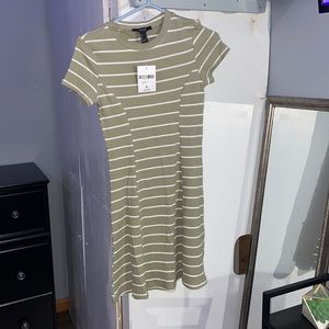 Olive/ Cream Knit dress